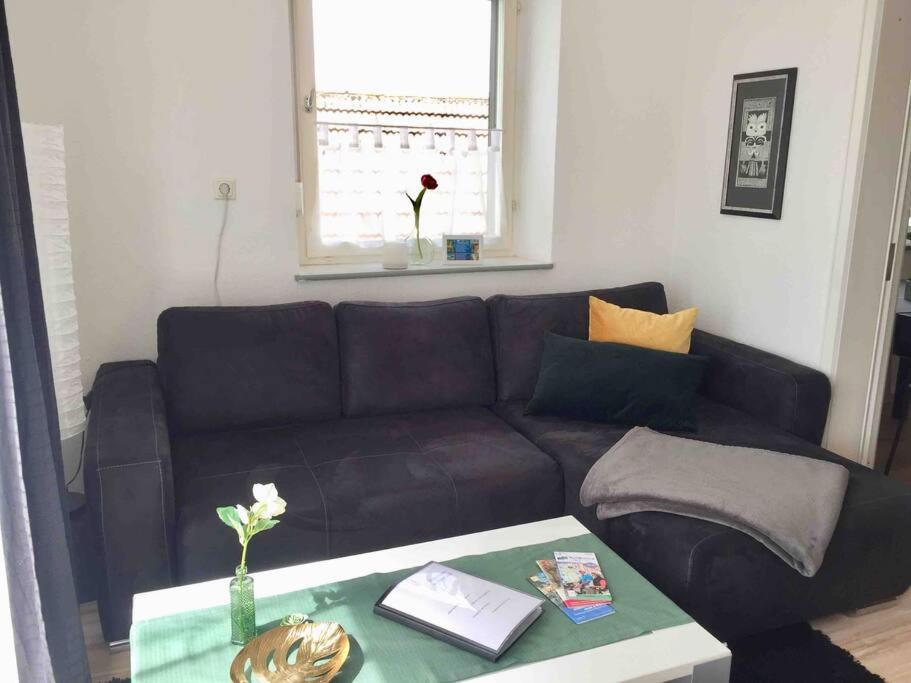 Mainroom Apartment *
